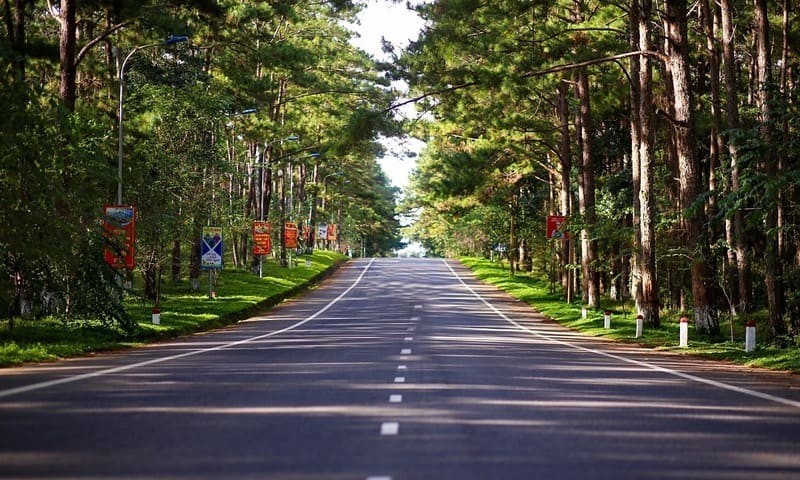 tong quan ve rung thong mang den min